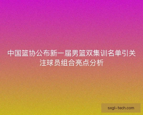 中国篮协公布新一届男篮双集训名单引关注球员组合亮点分析